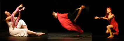 spectacle de danse contemporaine à Lyon